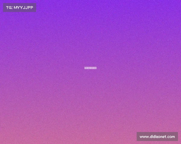 时时科技有限公司